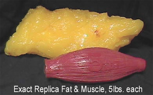 Weight Loss VS Fat Loss