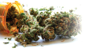 Medical Marijuana Goes Mainstream