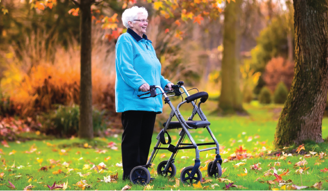 Choosing the Right Walking Aid For Your Needs and Safety – South ...